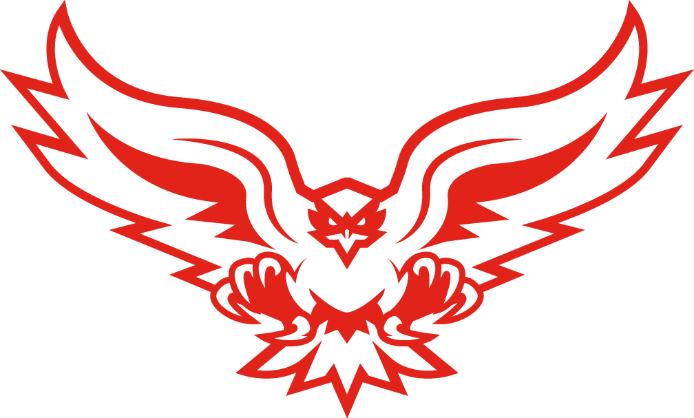 Hartford Hawks 2015-Pres Alternate Logo v4 DIY iron on transfer (heat transfer)